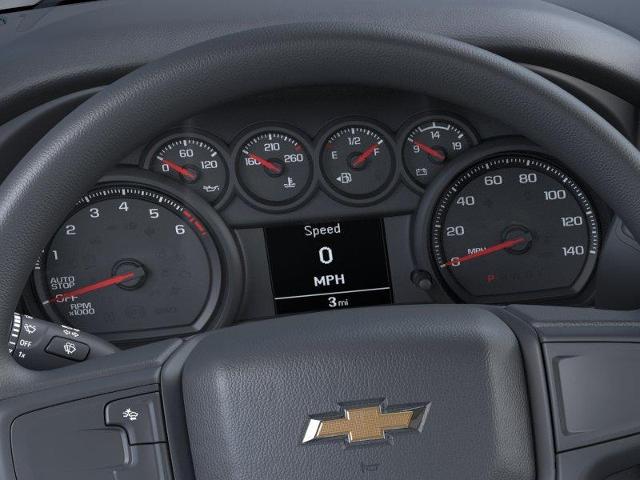 2024 Chevrolet Silverado 1500 Vehicle Photo in NEDERLAND, TX 77627-8017