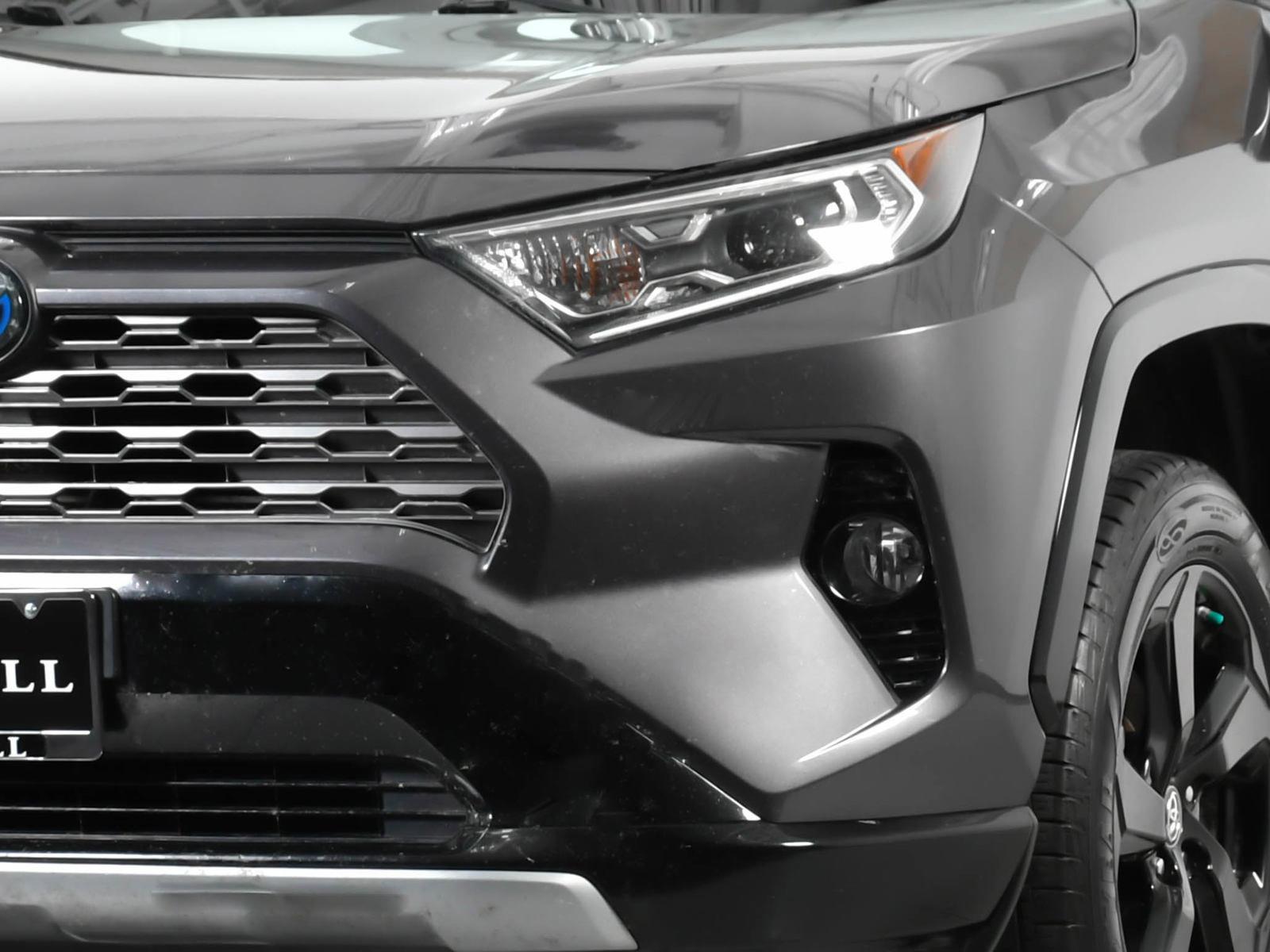 2019 Toyota RAV4 Vehicle Photo in DALLAS, TX 75235