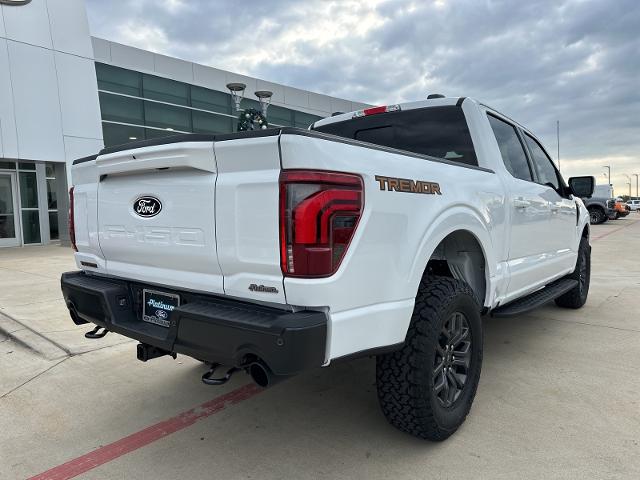 2024 Ford F-150 Vehicle Photo in Terrell, TX 75160