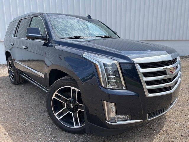 2019 Cadillac Escalade Vehicle Photo in JACKSON, MI 49202-1834