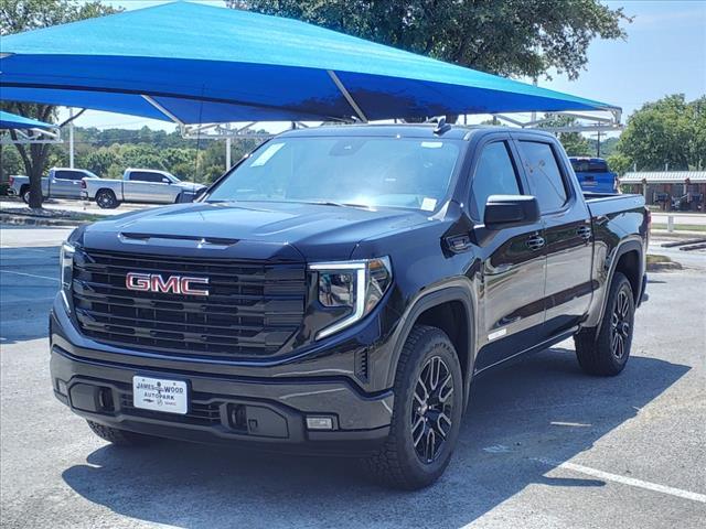 2024 GMC Sierra 1500 Vehicle Photo in Denton, TX 76205