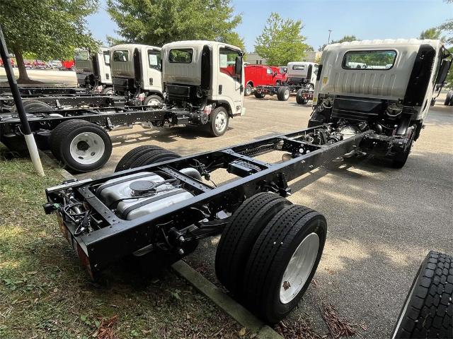 2025 Chevrolet Low Cab Forward 4500 Vehicle Photo in ALCOA, TN 37701-3235