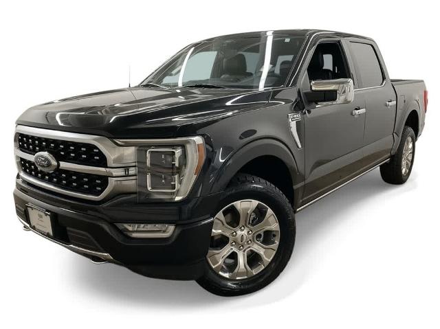 2021 Ford F-150 Vehicle Photo in PORTLAND, OR 97225-3518