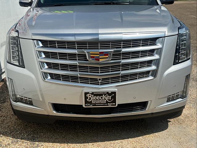 2019 Cadillac Escalade Vehicle Photo in DUNN, NC 28334-8900