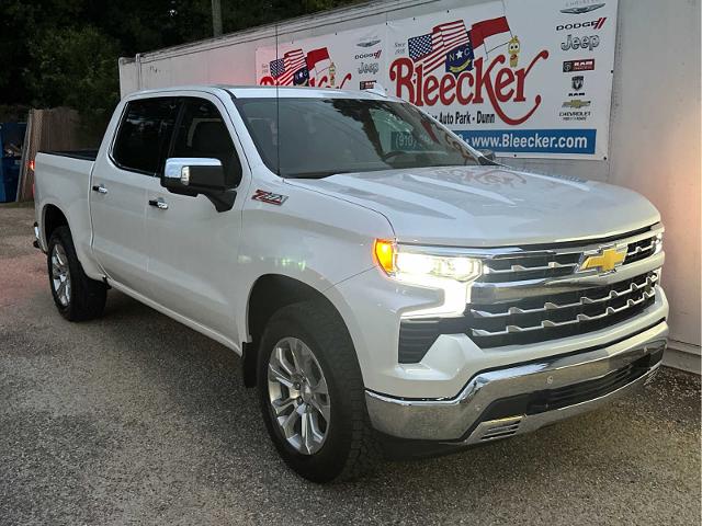 2024 Chevrolet Silverado 1500 Vehicle Photo in DUNN, NC 28334-8900