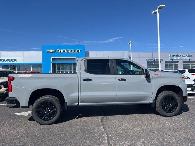 2024 Chevrolet Silverado 1500 Vehicle Photo in SAUK CITY, WI 53583-1301