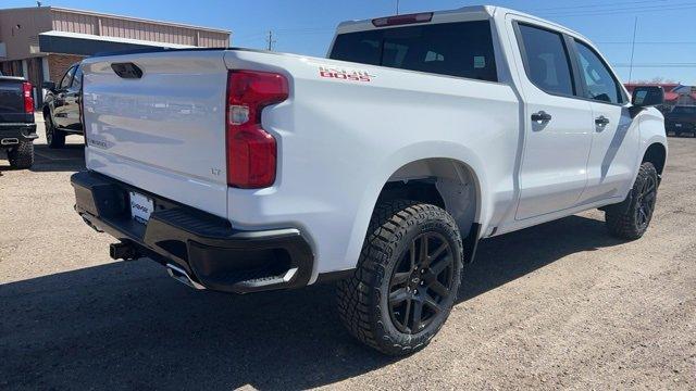 2024 Chevrolet Silverado 1500 Vehicle Photo in SAUK CITY, WI 53583-1301