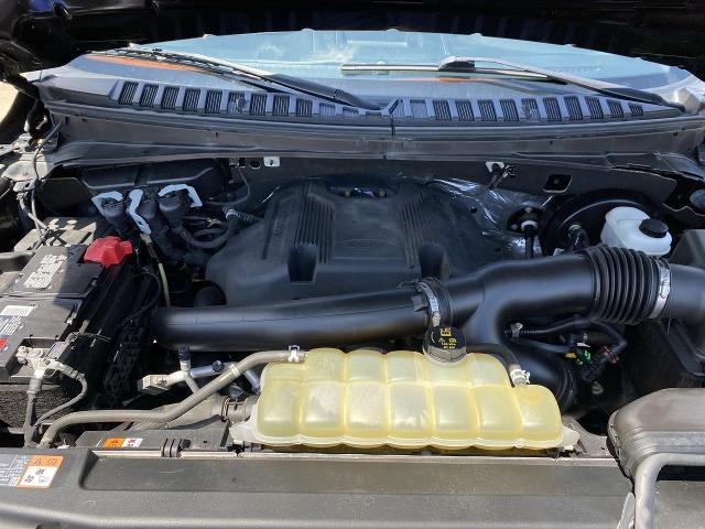 2020 Ford Expedition Vehicle Photo in DURANT, OK 74701-4624