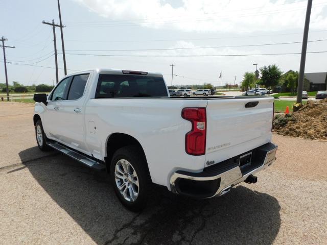 2024 Chevrolet Silverado 1500 Vehicle Photo in GATESVILLE, TX 76528-2745