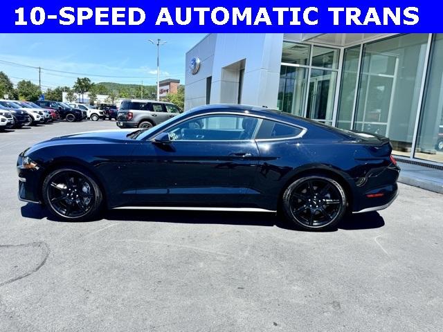 2019 Ford Mustang Vehicle Photo in Mahwah, NJ 07430-1343