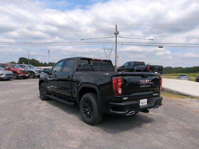 2025 GMC Sierra 1500 Vehicle Photo in ALBERTVILLE, AL 35950-0246