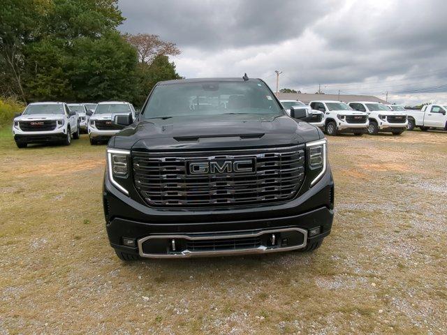 2025 GMC Sierra 1500 Vehicle Photo in ALBERTVILLE, AL 35950-0246