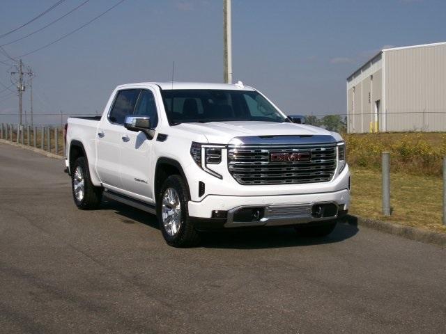 Used 2023 GMC Sierra 1500 Denali Denali with VIN 3GTUUGEDXPG194343 for sale in Ozark, AL