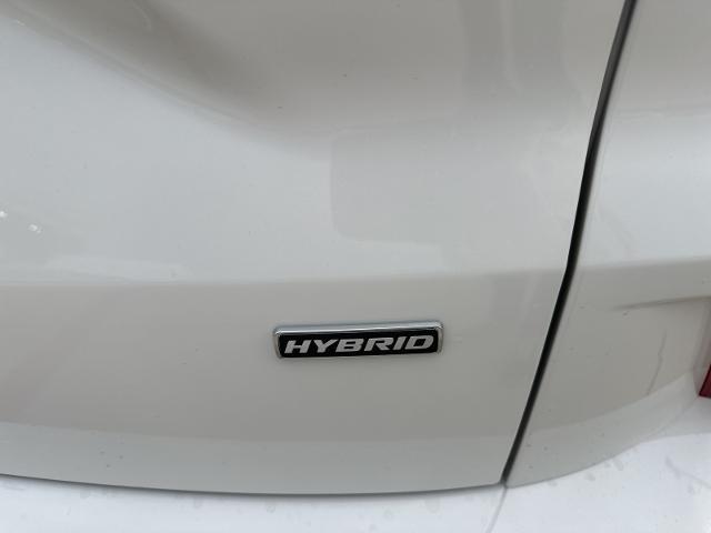 2024 Ford Escape Vehicle Photo in Terrell, TX 75160