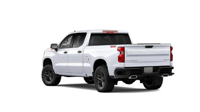 2024 Chevrolet Silverado 1500 Vehicle Photo in Salem, OR 97301