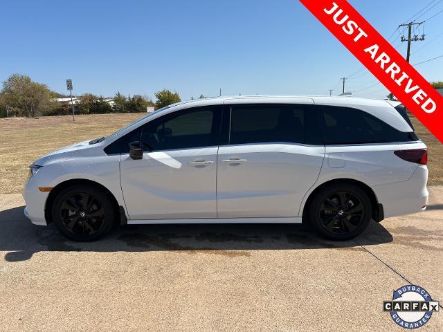 2024 Honda Odyssey Vehicle Photo in Denison, TX 75020