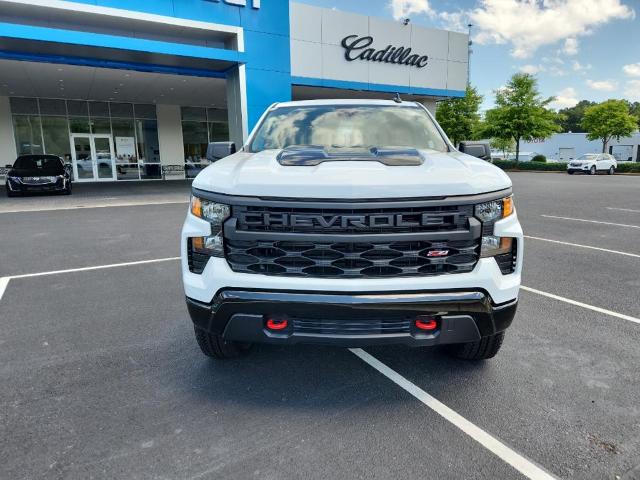 2024 Chevrolet Silverado 1500 Vehicle Photo in AUBURN, AL 36830-7007