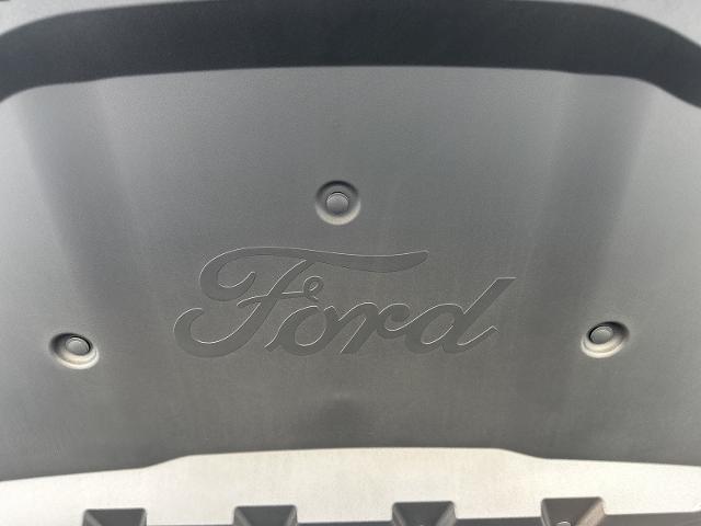 2024 Ford F-150 Lightning Vehicle Photo in Terrell, TX 75160