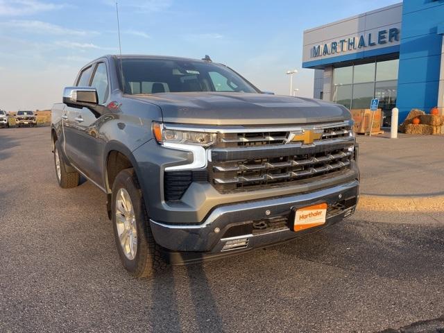 2025 Chevrolet Silverado 1500 Vehicle Photo in GLENWOOD, MN 56334-1123