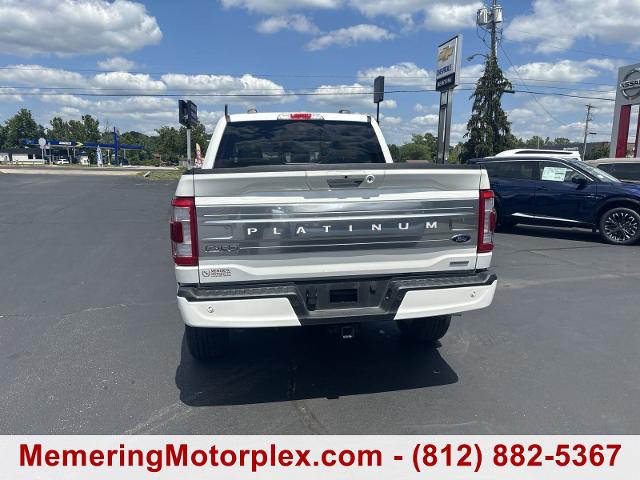 2023 Ford F-150 Vehicle Photo in VINCENNES, IN 47591-5519