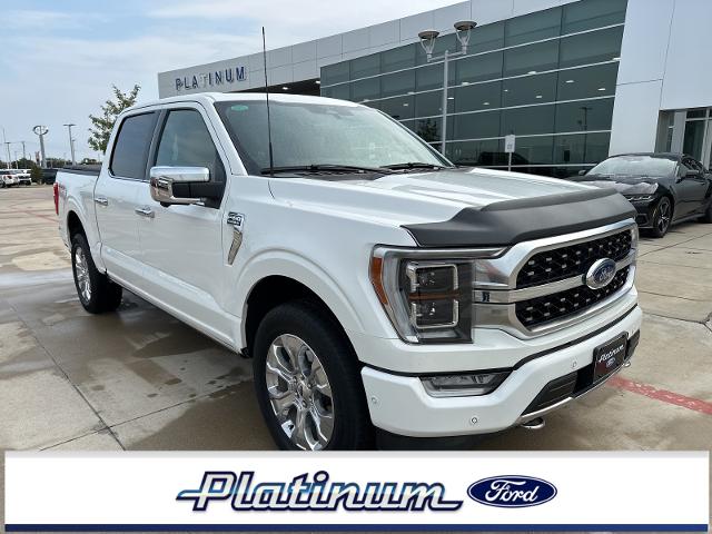 2023 Ford F-150 Vehicle Photo in Terrell, TX 75160