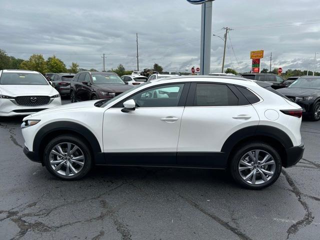 2025 Mazda CX-30 Vehicle Photo in Danville, KY 40422-2805