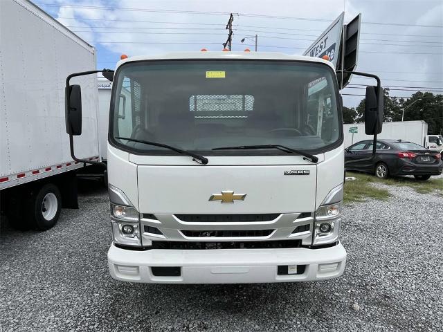 2024 Chevrolet Low Cab Forward 4500 Vehicle Photo in ALCOA, TN 37701-3235