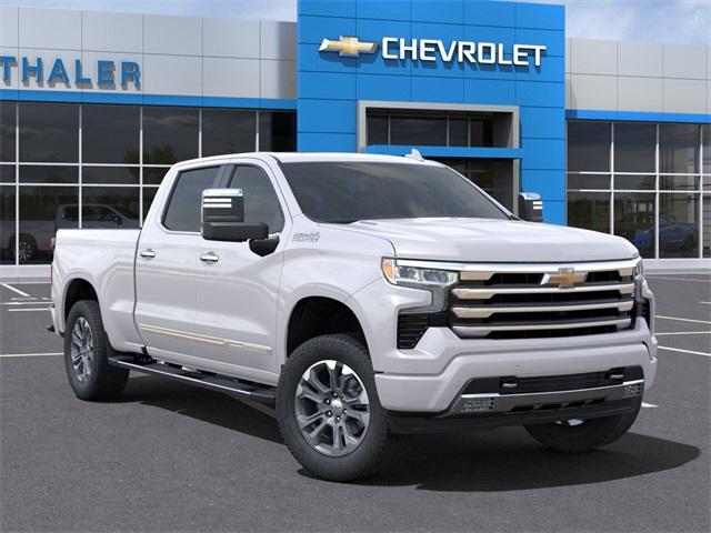 2025 Chevrolet Silverado 1500 Vehicle Photo in GLENWOOD, MN 56334-1123