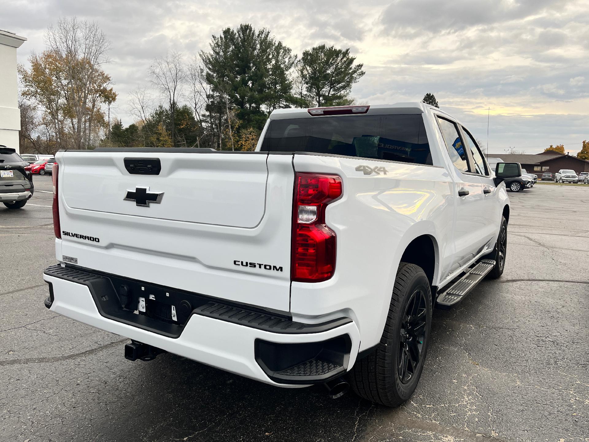 2024 Chevrolet Silverado 1500 Vehicle Photo in CLARE, MI 48617-9414