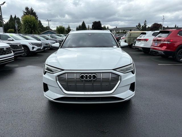 2019 Audi e-tron Vehicle Photo in Puyallup, WA 98371