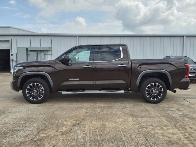 2023 Toyota Tundra 4WD Vehicle Photo in ROSENBERG, TX 77471