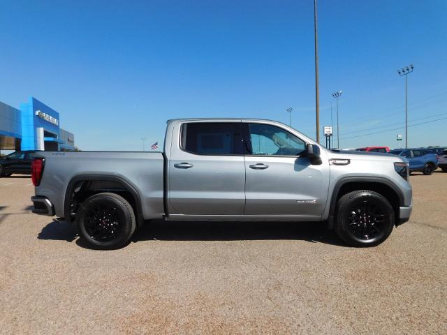 2025 GMC Sierra 1500 Vehicle Photo in GATESVILLE, TX 76528-2745