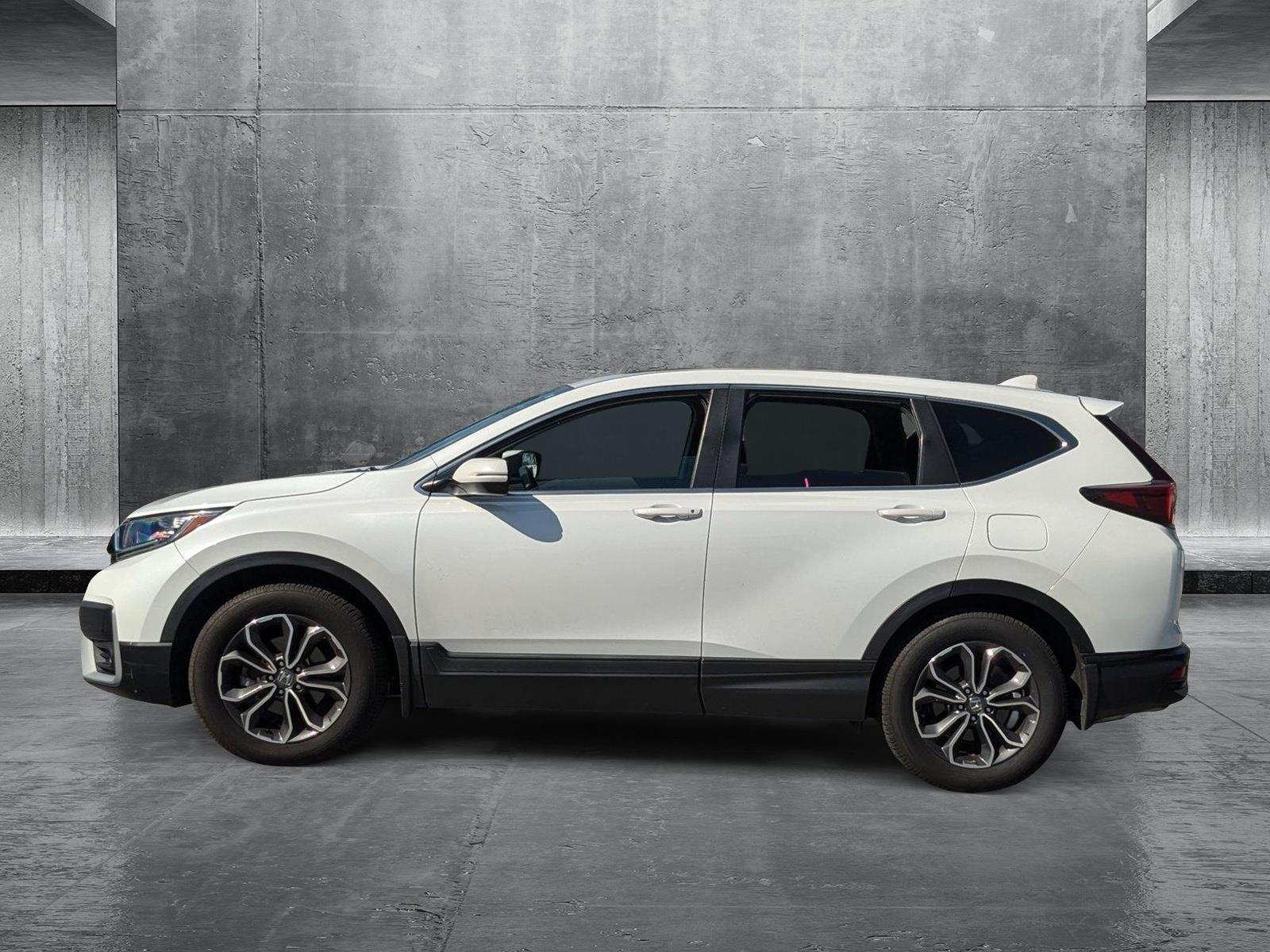 2022 Honda CR-V Vehicle Photo in St. Petersburg, FL 33713