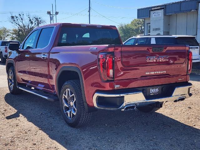 2024 GMC Sierra 1500 Vehicle Photo in PARIS, TX 75460-2116