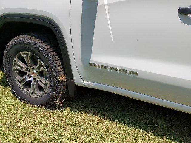 2024 GMC Sierra 1500 Vehicle Photo in ALBERTVILLE, AL 35950-0246