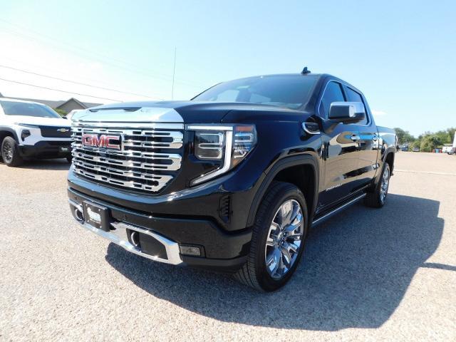 2025 GMC Sierra 1500 Vehicle Photo in Weatherford, TX 76087