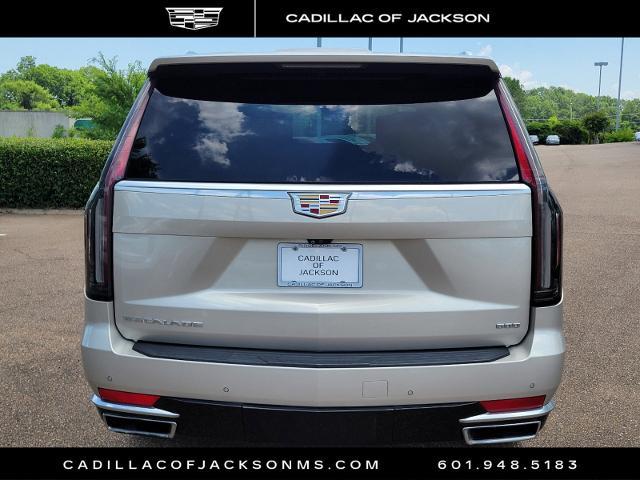 2021 Cadillac Escalade ESV Vehicle Photo in RIDGELAND, MS 39157-4406