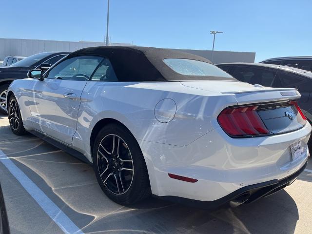 2022 Ford Mustang Vehicle Photo in Grapevine, TX 76051