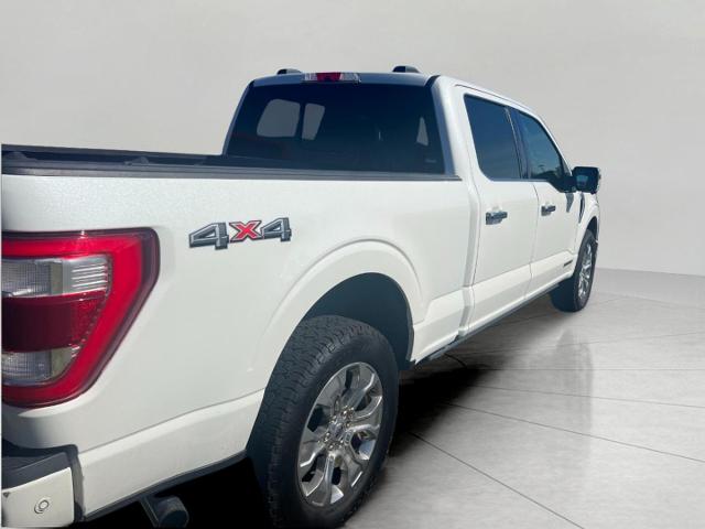 2021 Ford F-150 Vehicle Photo in Neenah, WI 54956