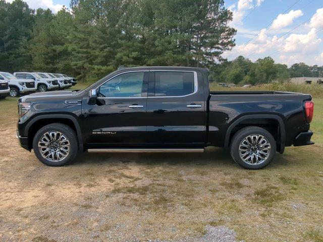 2025 GMC Sierra 1500 Vehicle Photo in ALBERTVILLE, AL 35950-0246