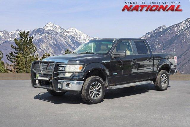 2014 Ford F-150 Vehicle Photo in AMERICAN FORK, UT 84003-3317