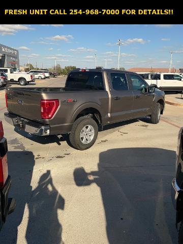 2023 Ford F-150 Vehicle Photo in STEPHENVILLE, TX 76401-3713