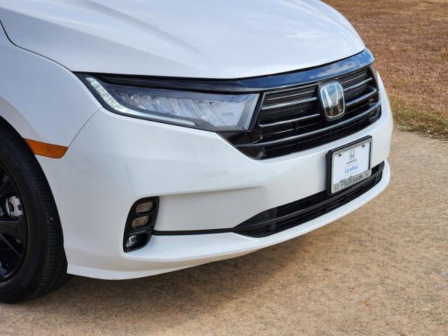 2024 Honda Odyssey Vehicle Photo in Denison, TX 75020