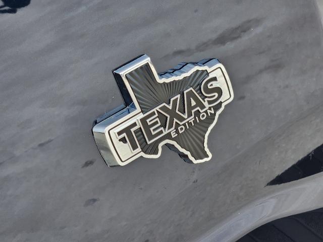 2024 Ford F-150 Vehicle Photo in STEPHENVILLE, TX 76401-3713