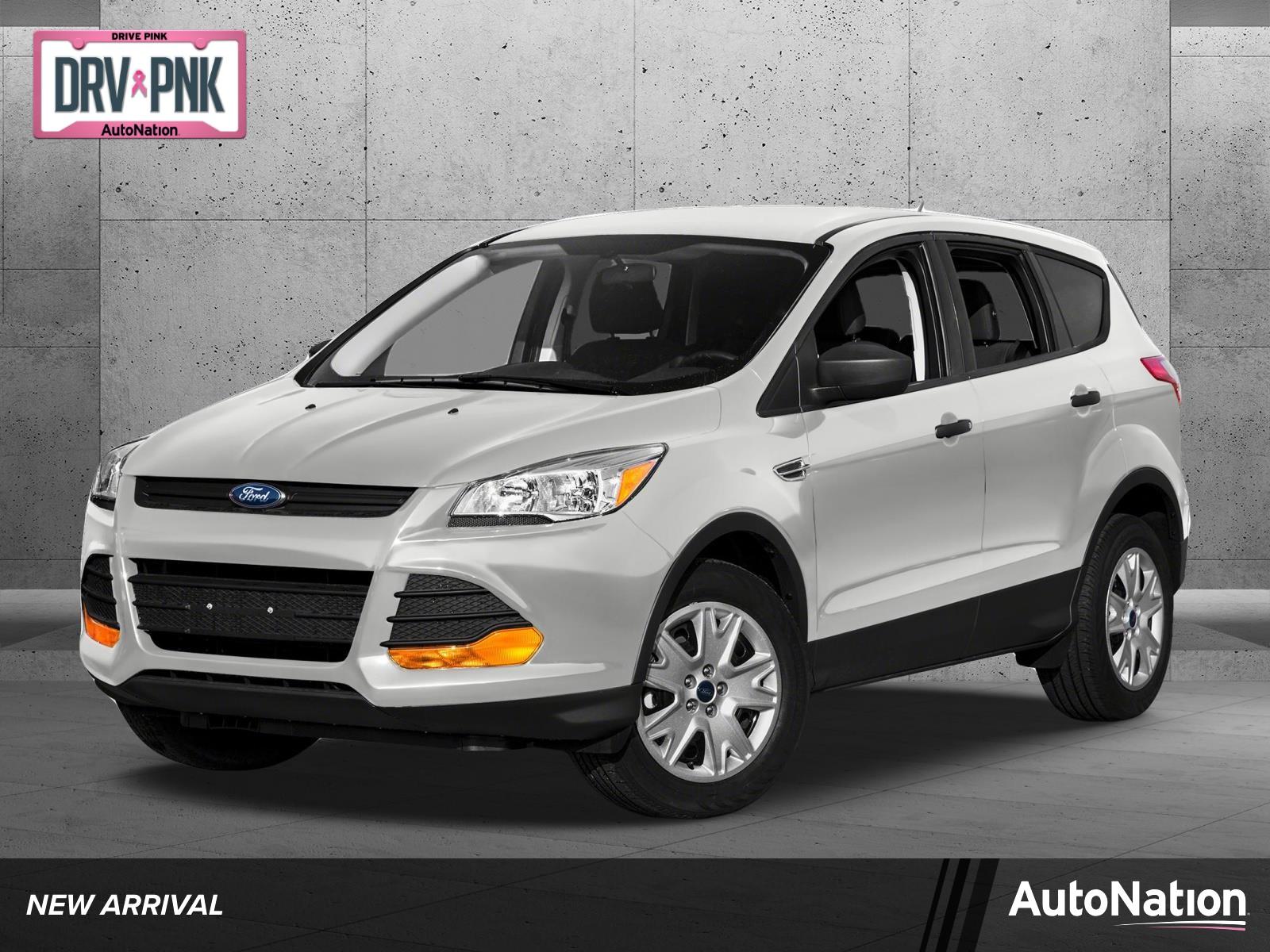 2015 Ford Escape Vehicle Photo in Sanford, FL 32771