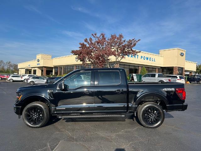 2024 Ford F-150 Vehicle Photo in Danville, KY 40422-2805