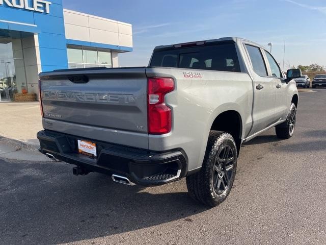 2025 Chevrolet Silverado 1500 Vehicle Photo in GLENWOOD, MN 56334-1123