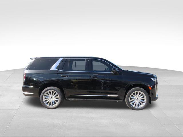 2024 Cadillac Escalade Vehicle Photo in DELRAY BEACH, FL 33483-3294