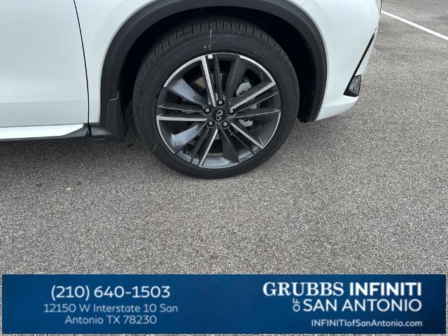 2024 INFINITI QX50 Vehicle Photo in San Antonio, TX 78230