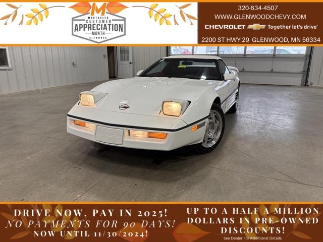 1990 Chevrolet Corvette Vehicle Photo in GLENWOOD, MN 56334-1123